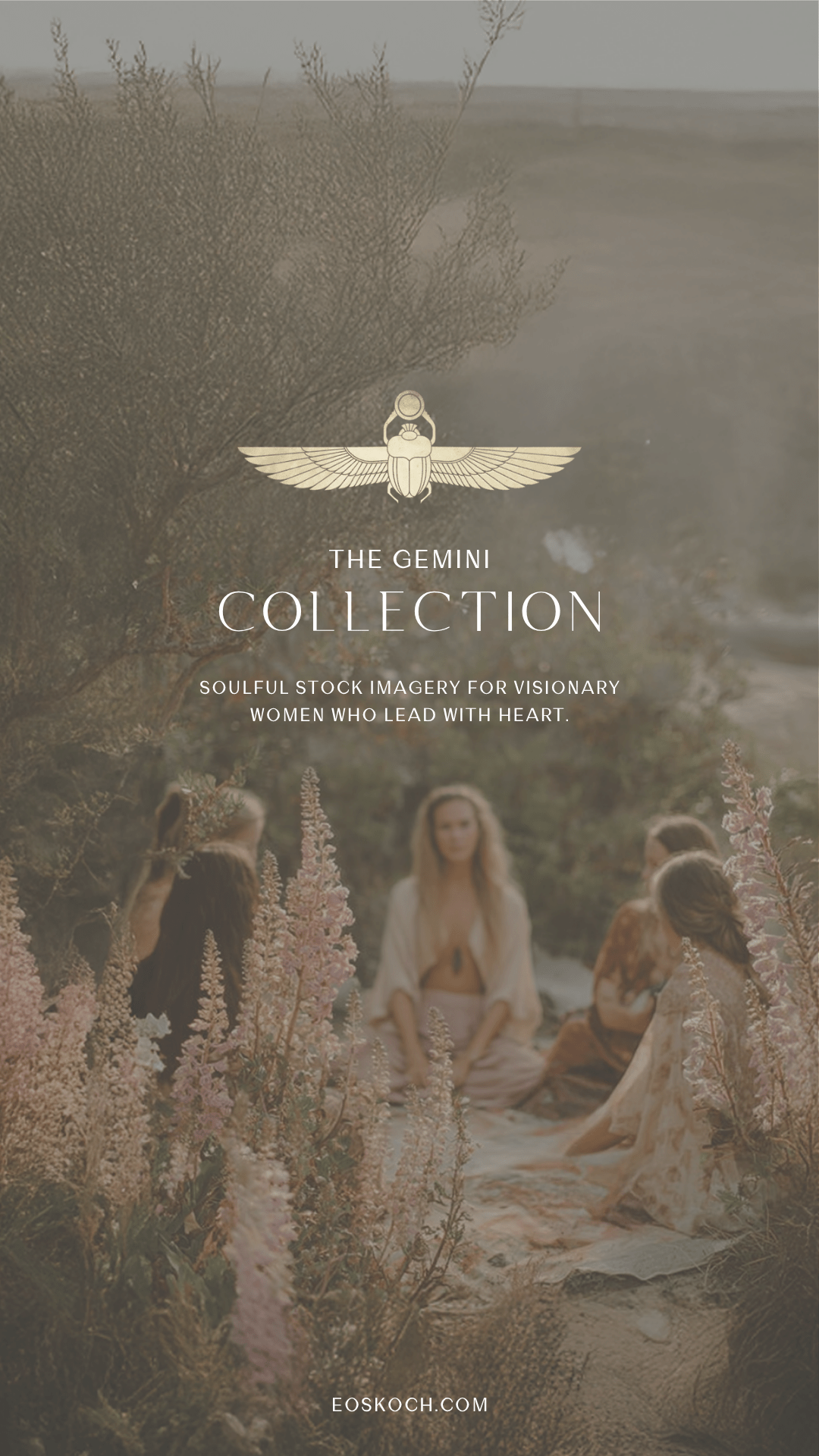 The Gemini Stock Photography Collection