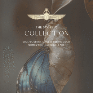 The Scorpio Stock Photography Collection